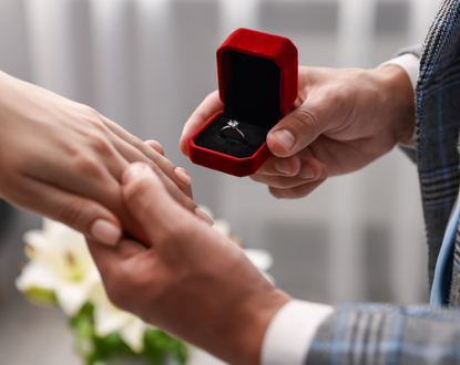 Proposal
