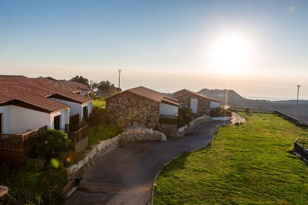 Roxon Desert Arad - lawns