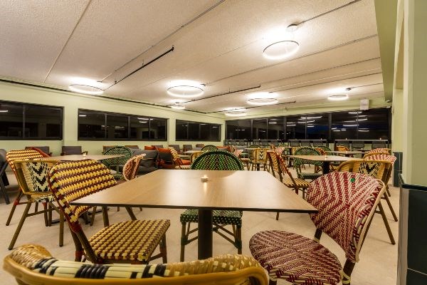 Roxon Desert Arad - Snake Bar