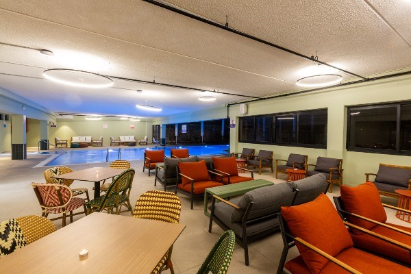 Roxon Desert Arad - Snake Bar