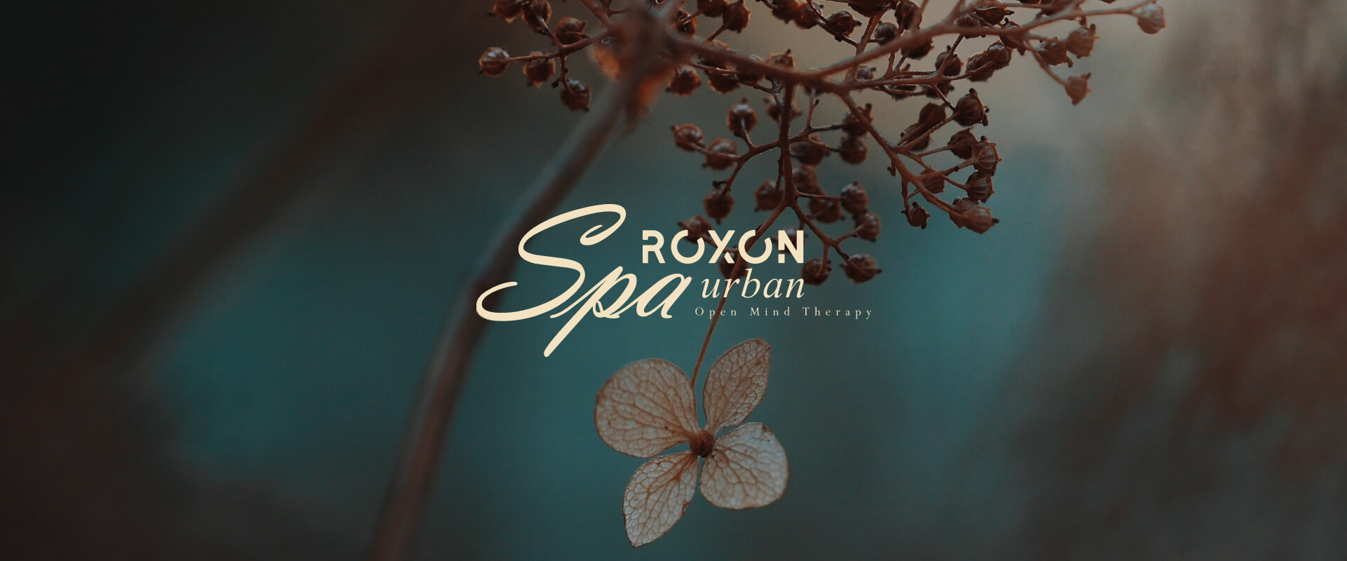 Roxon Urban Ramat Gan - Spa