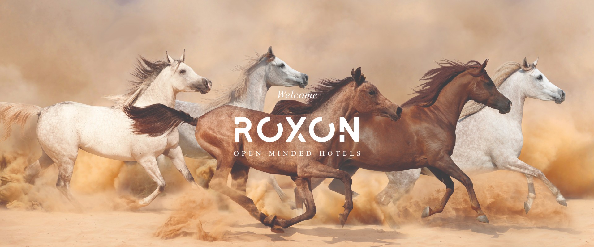 Roxon Hotels in Israel